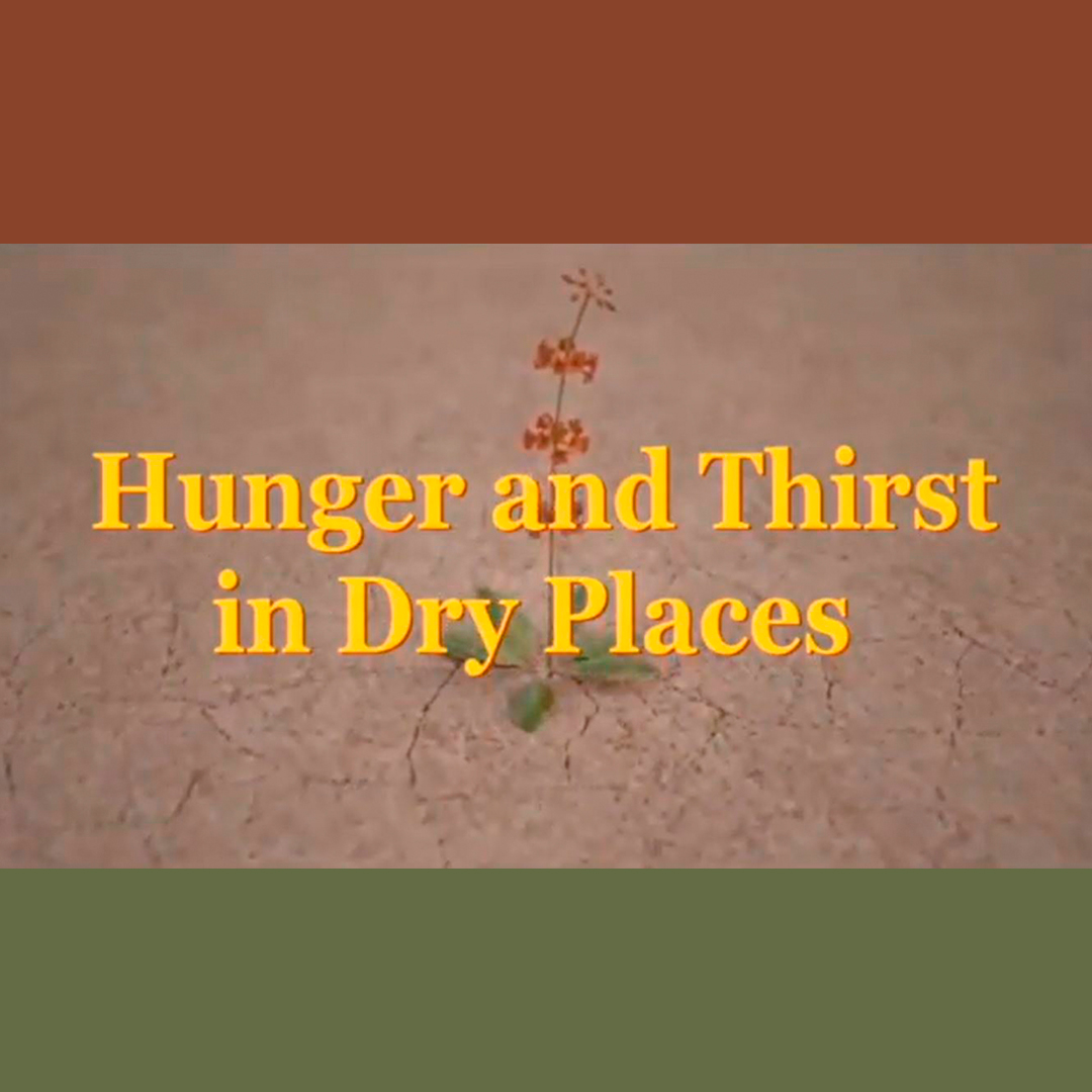 Our Current Sermon Series: Hunger and Thirst in Dry Places