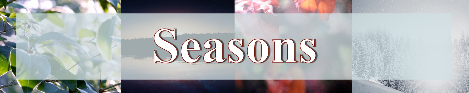 Seasons Web Panel